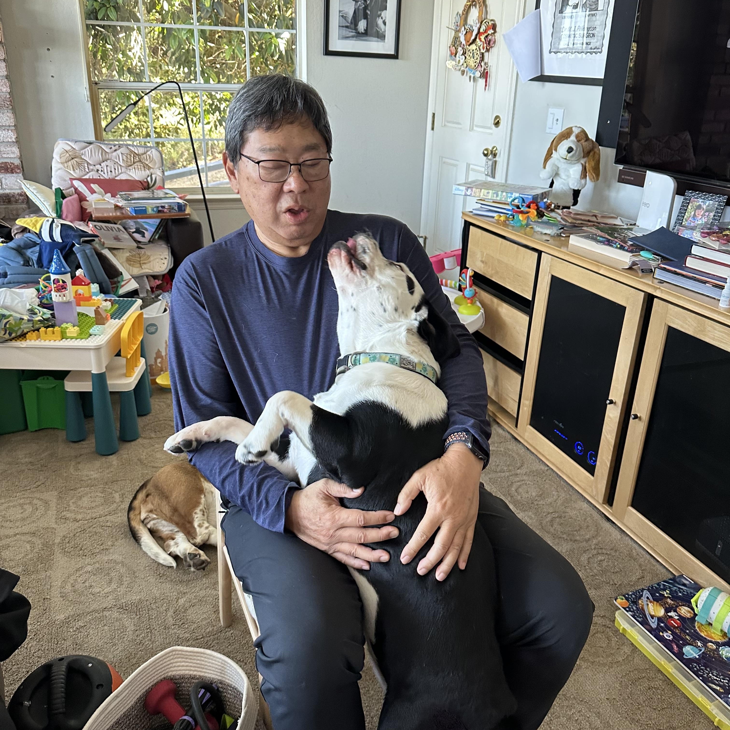 Daisy Muffin, a Adoptable mixed breed in Kensington, CA image 4/5