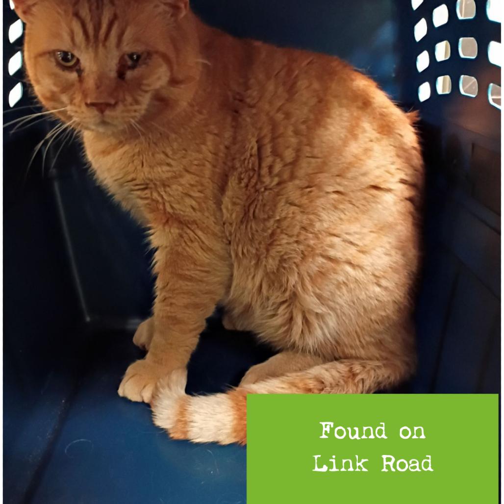 Sticky Rice — thumbnail 2