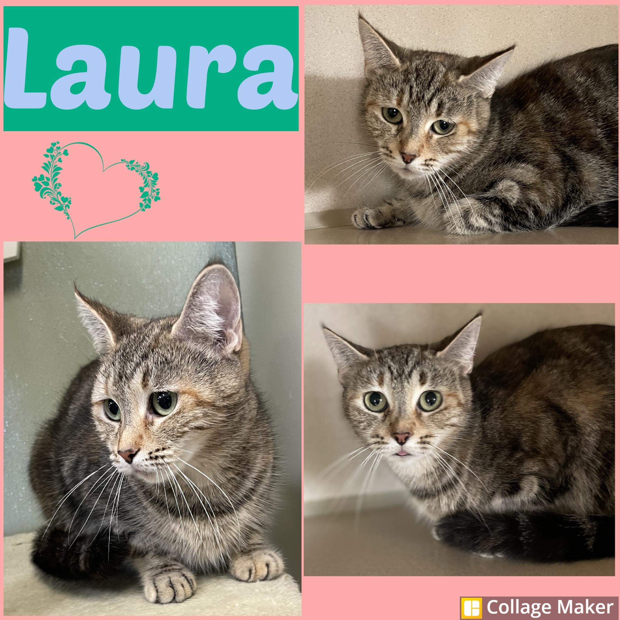 Laura