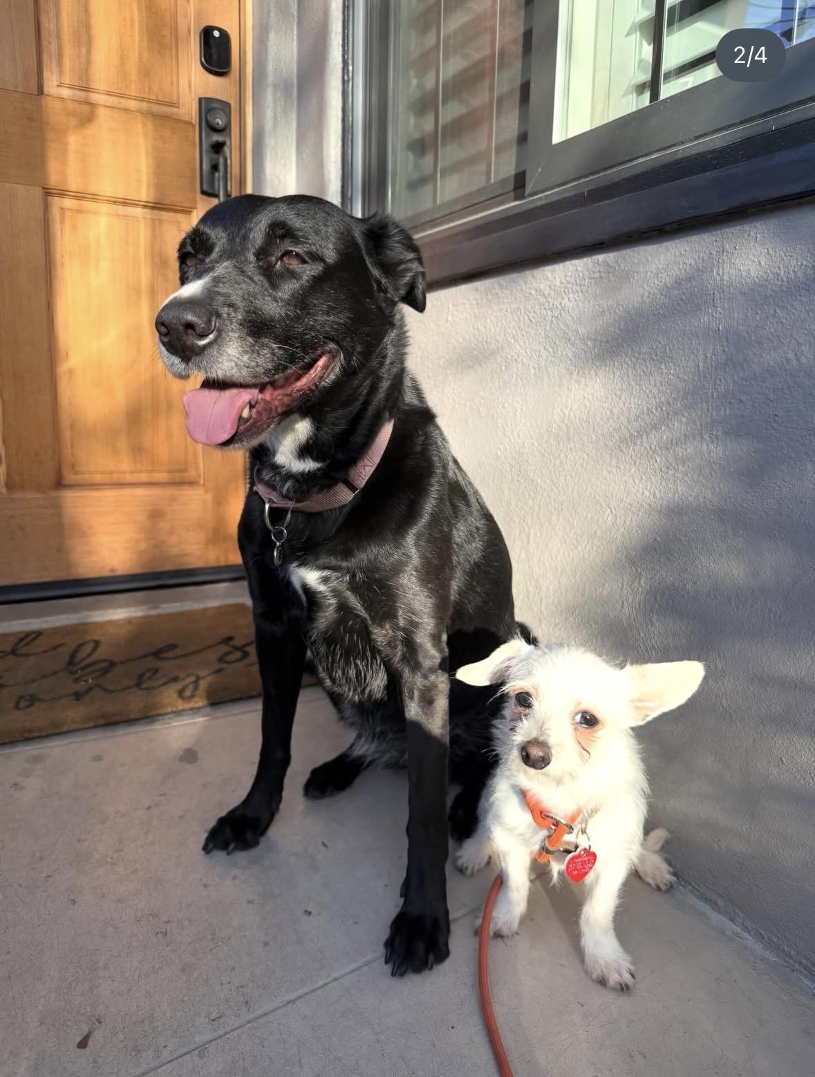 Creature Is Teeny Tiny thumbnail 4