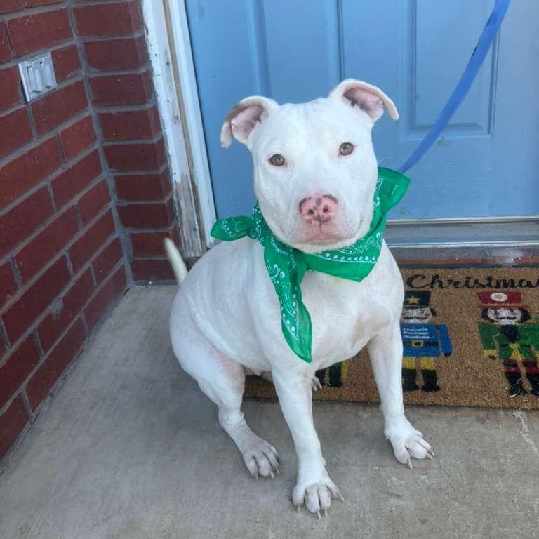 Sandy — thumbnail 5