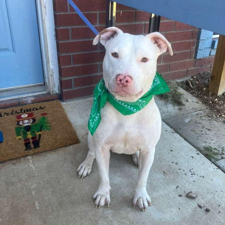 Sandy — thumbnail 6