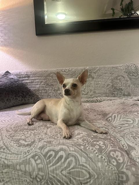 Mama Nicky
