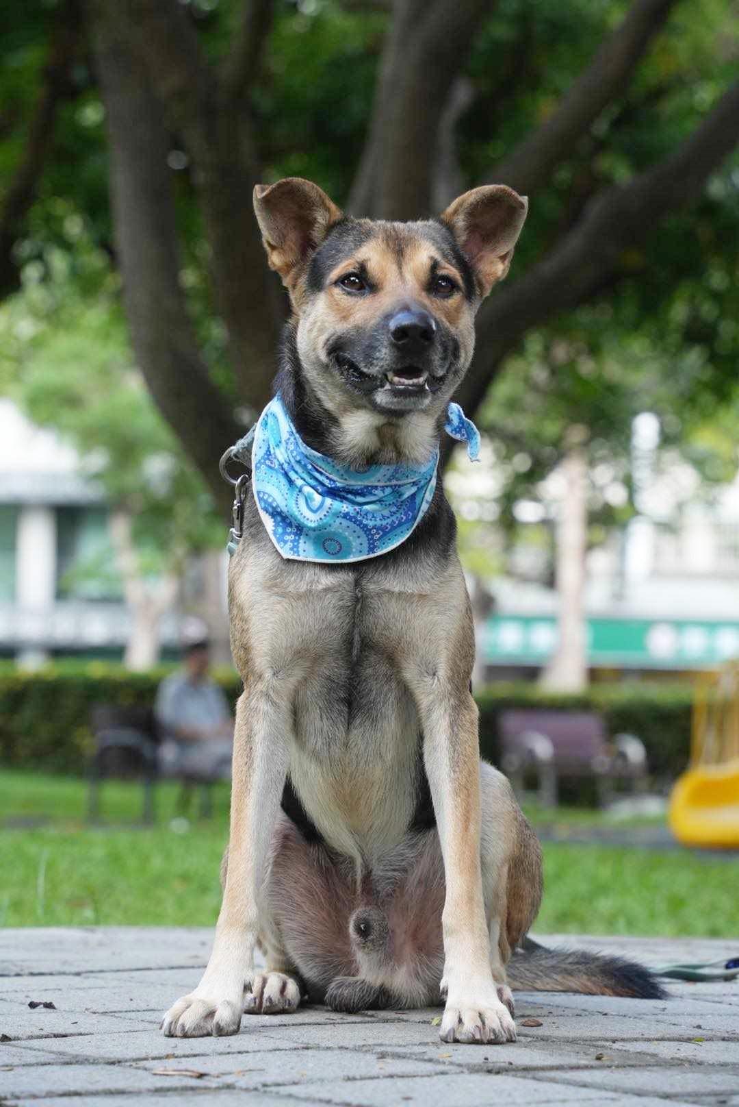 Amos
