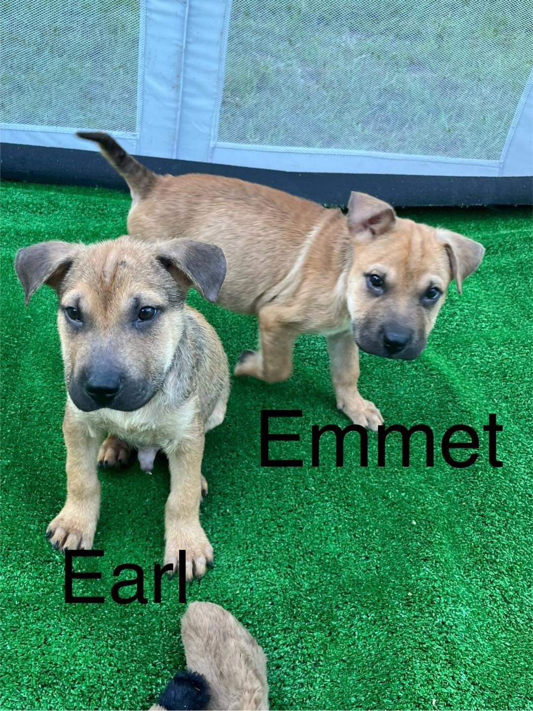 Emmet, Earl,