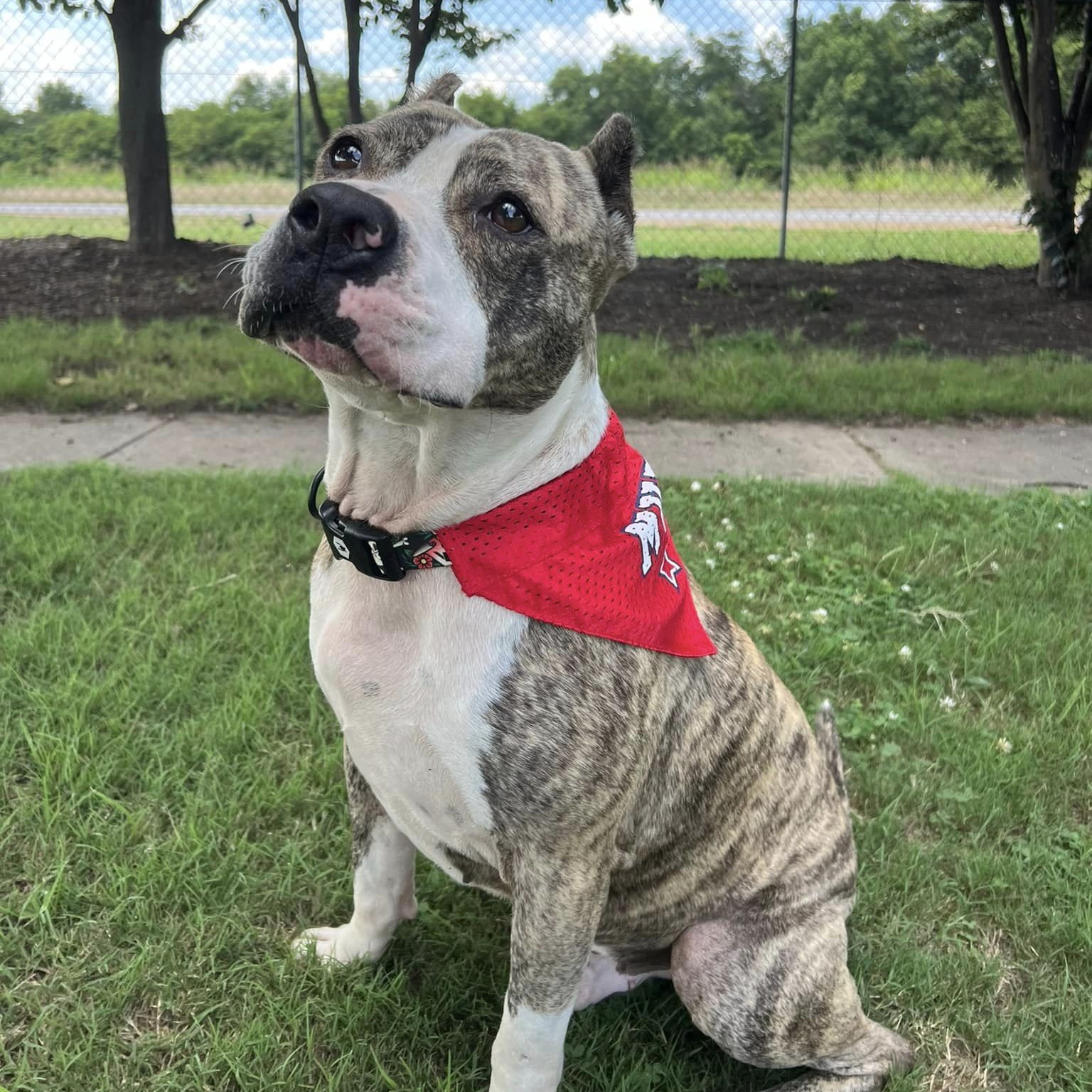 Solis — thumbnail 4