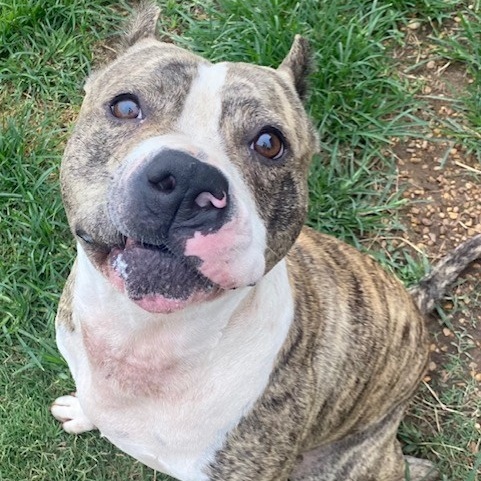 Solis — thumbnail 5