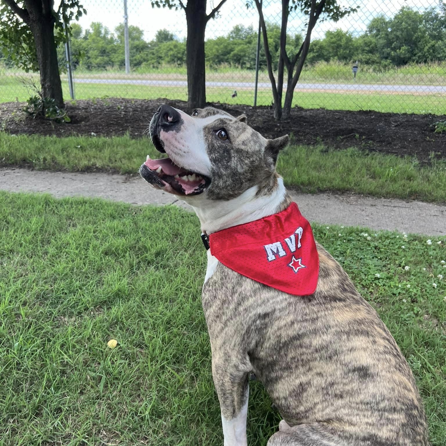 Solis — thumbnail 6