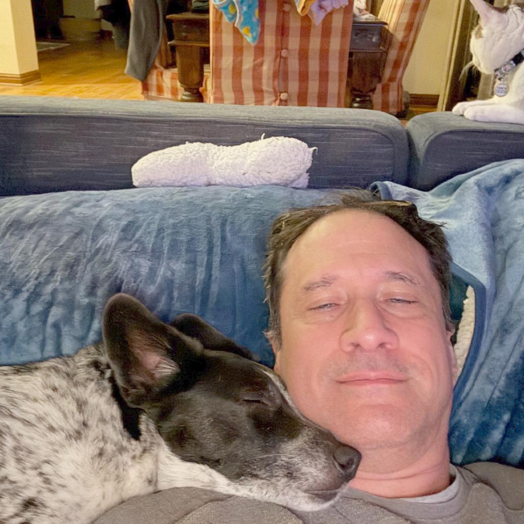 Enlarge Tilly, a Adoptable mixed breed in Wichita, KS image 4/6