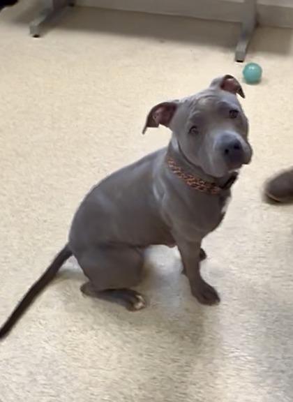 Gianna — thumbnail 2