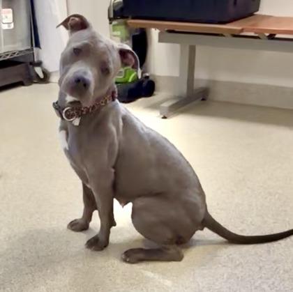 Gianna — thumbnail 3