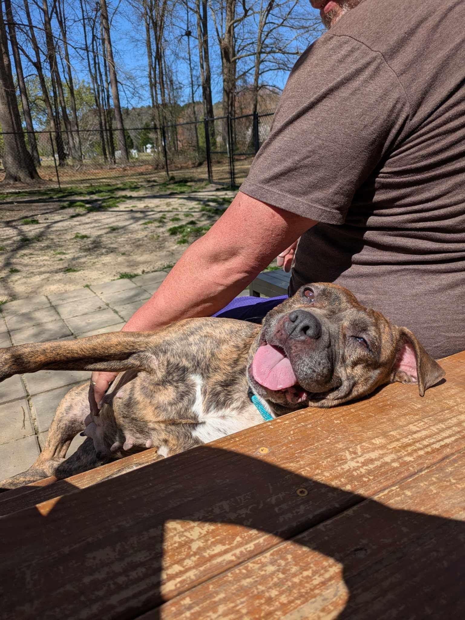 Peta — thumbnail 2