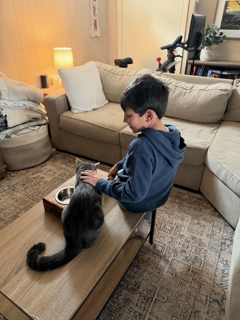 Enlarge Alex, an adopted mixed breed in North Billerica, MA image 4/5