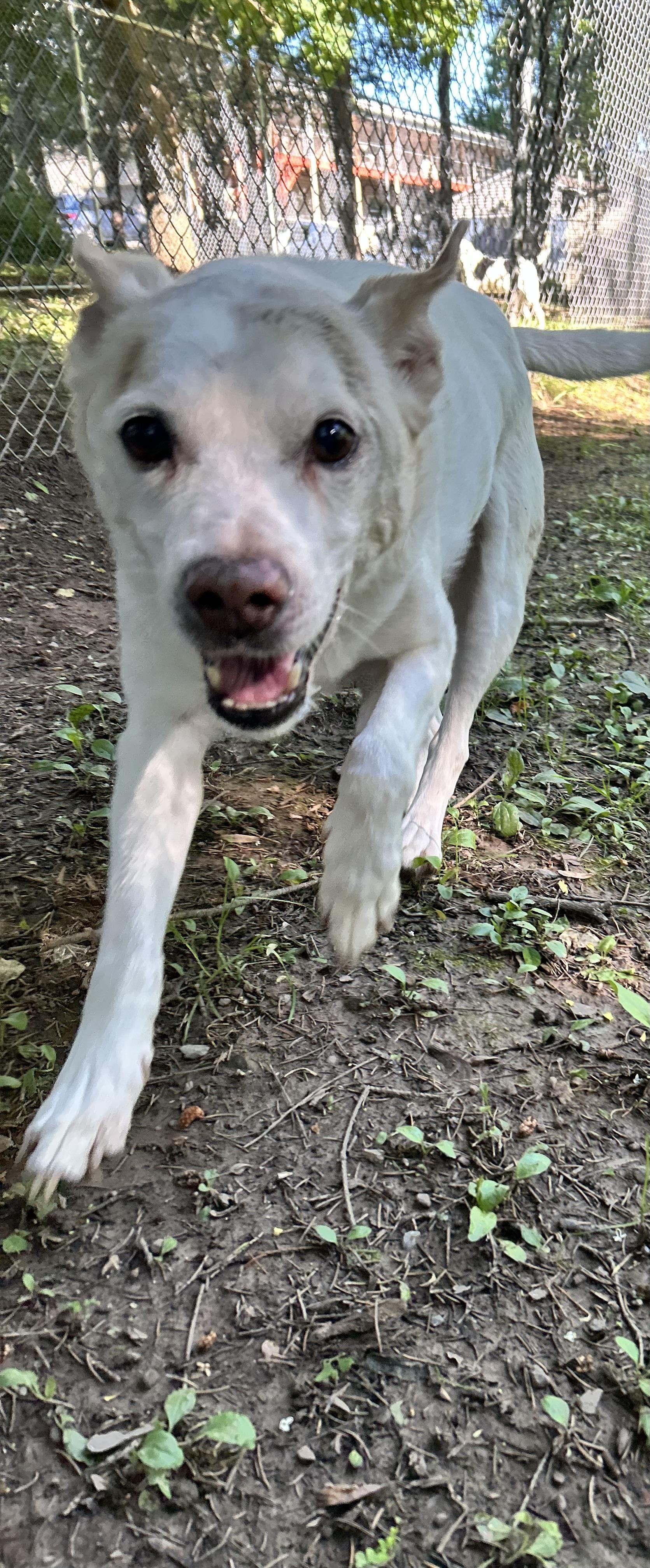 Milo