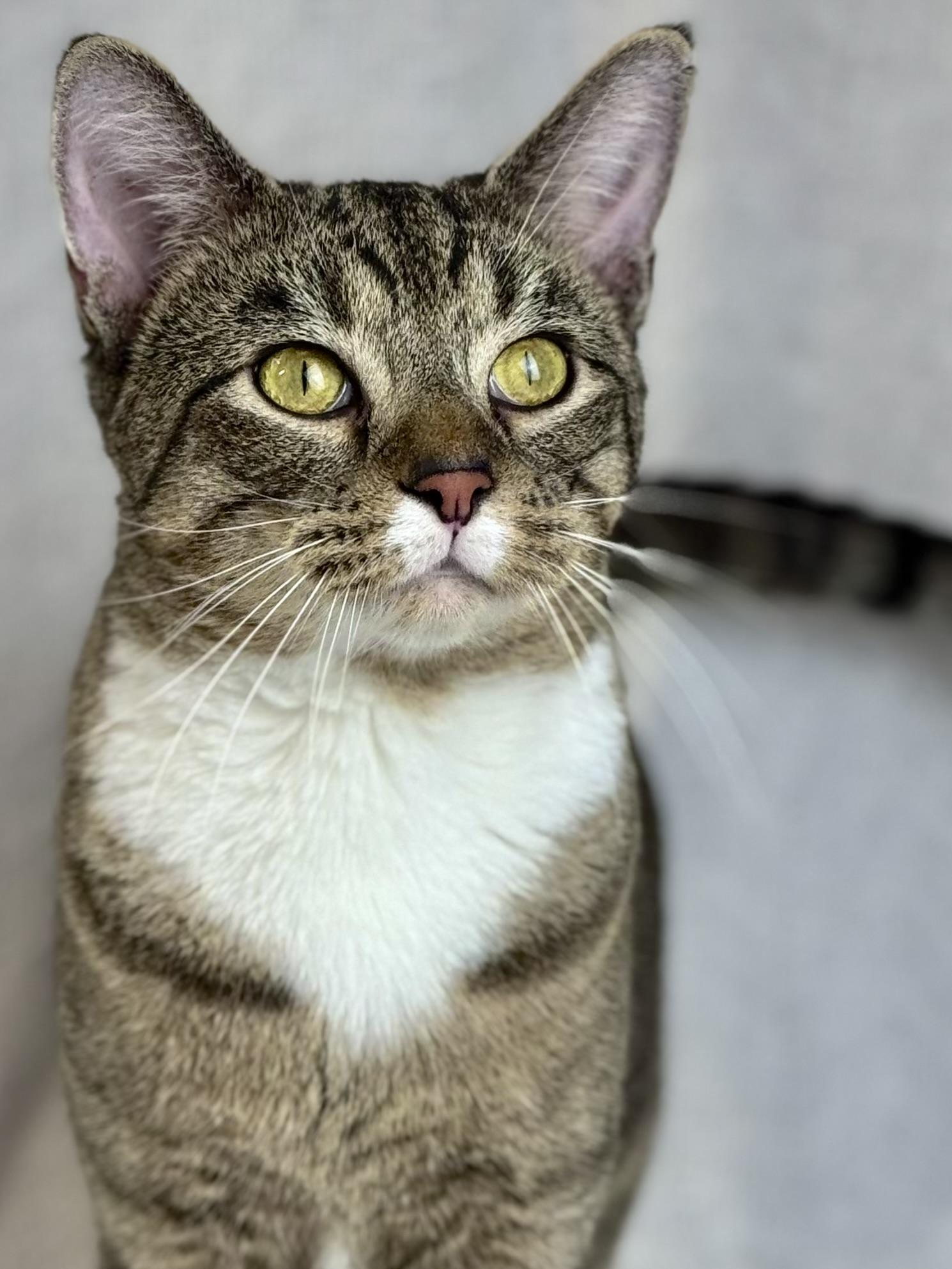 Blueberry-Resident Goofball 1