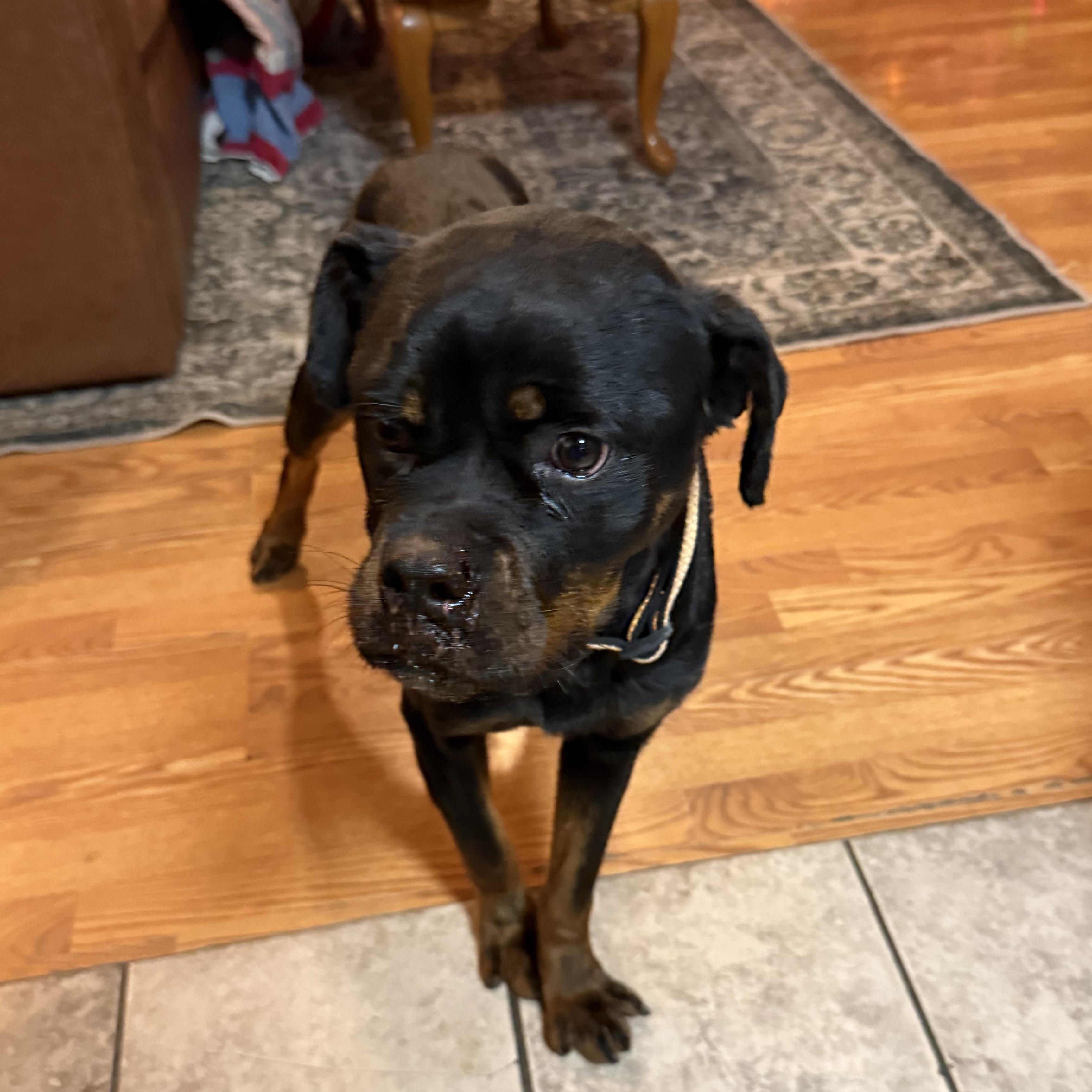 Tide — thumbnail 2