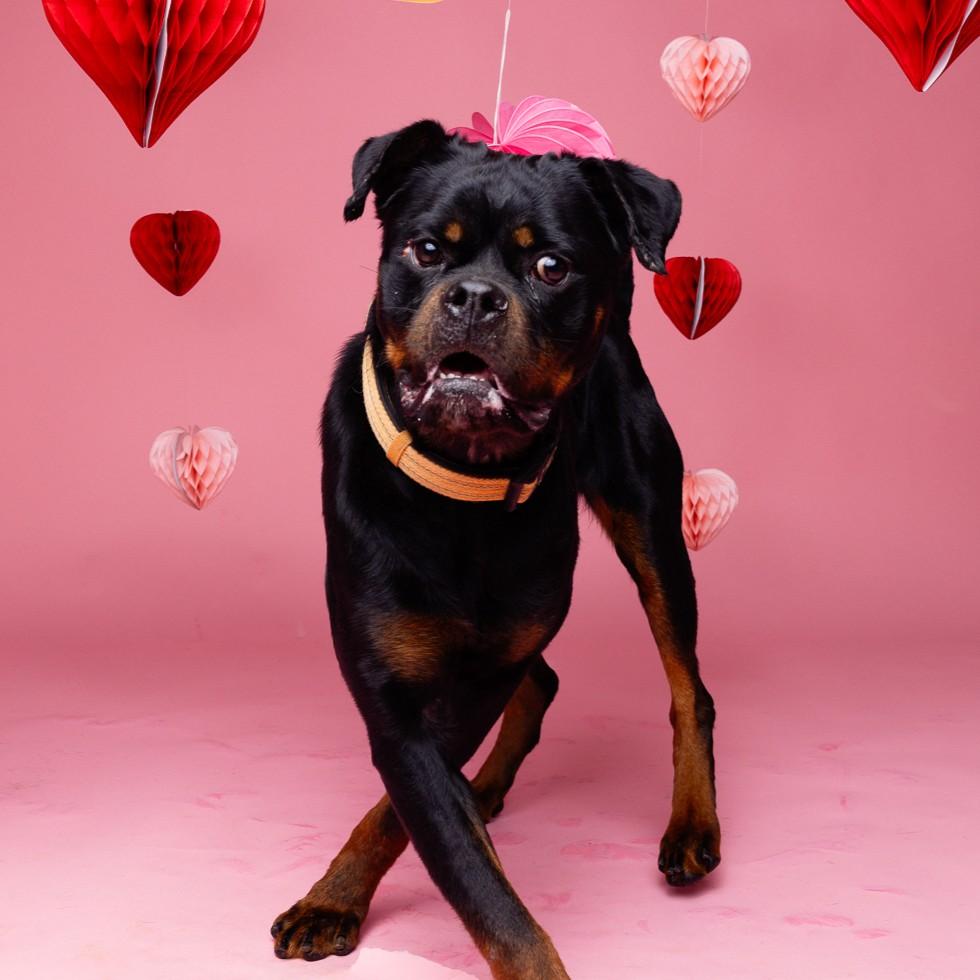 Tide — thumbnail 4