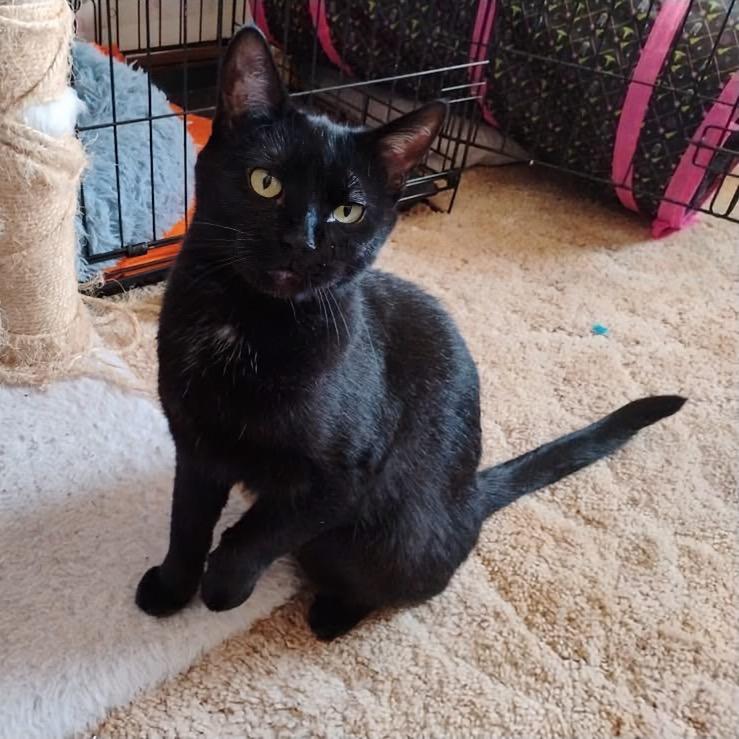 Grace — thumbnail 3