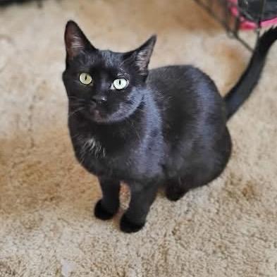 Grace — thumbnail 5