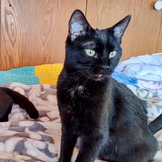 Grace — thumbnail 6