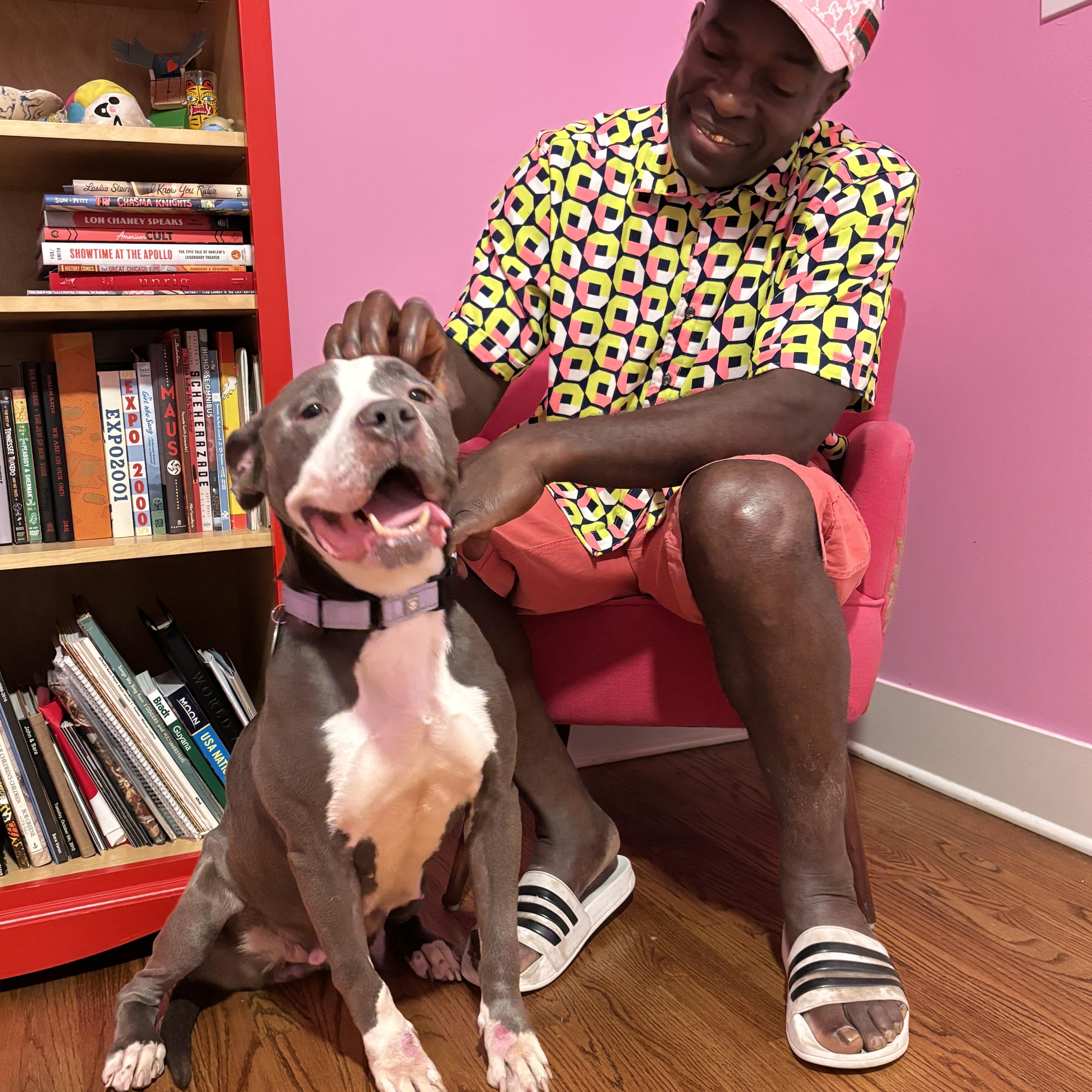 Elly, Adoptable, Senior Female Pit Bull Terrier.