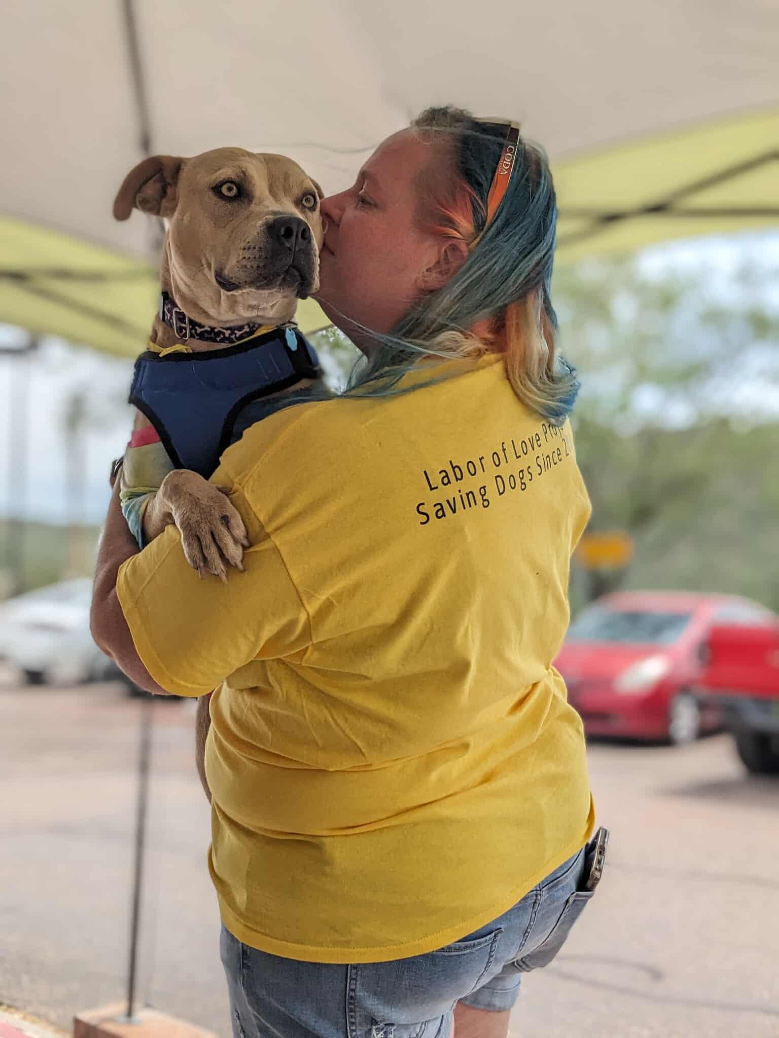 Ivy, an adoptable American Bulldog in Portales, NM, 88130 | Photo Image 2