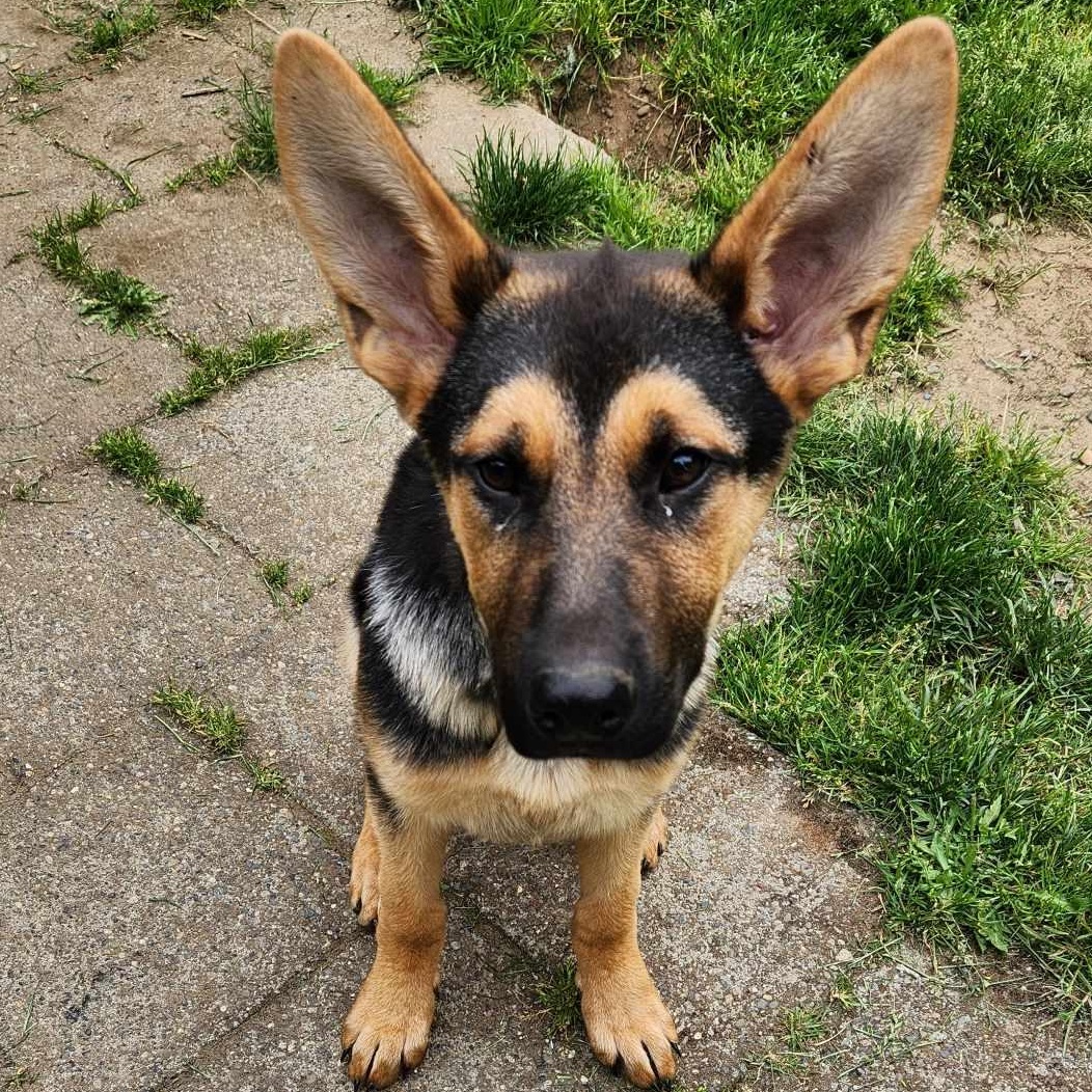 Teagan photo 1