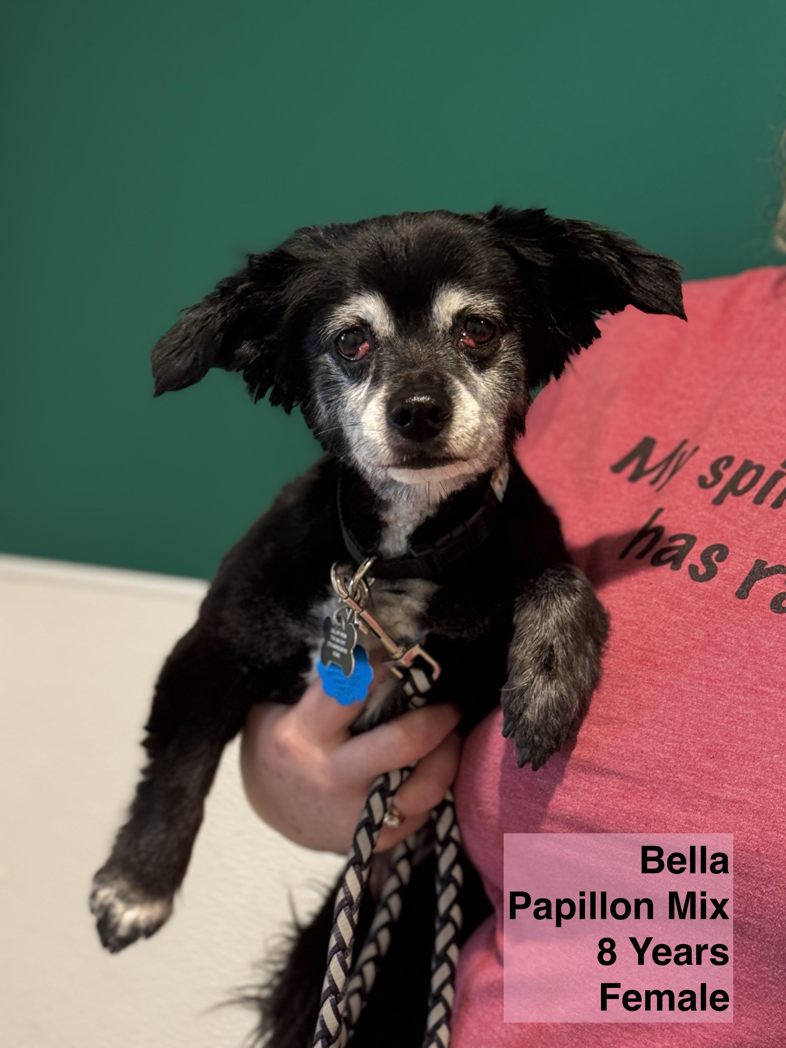 Bella
