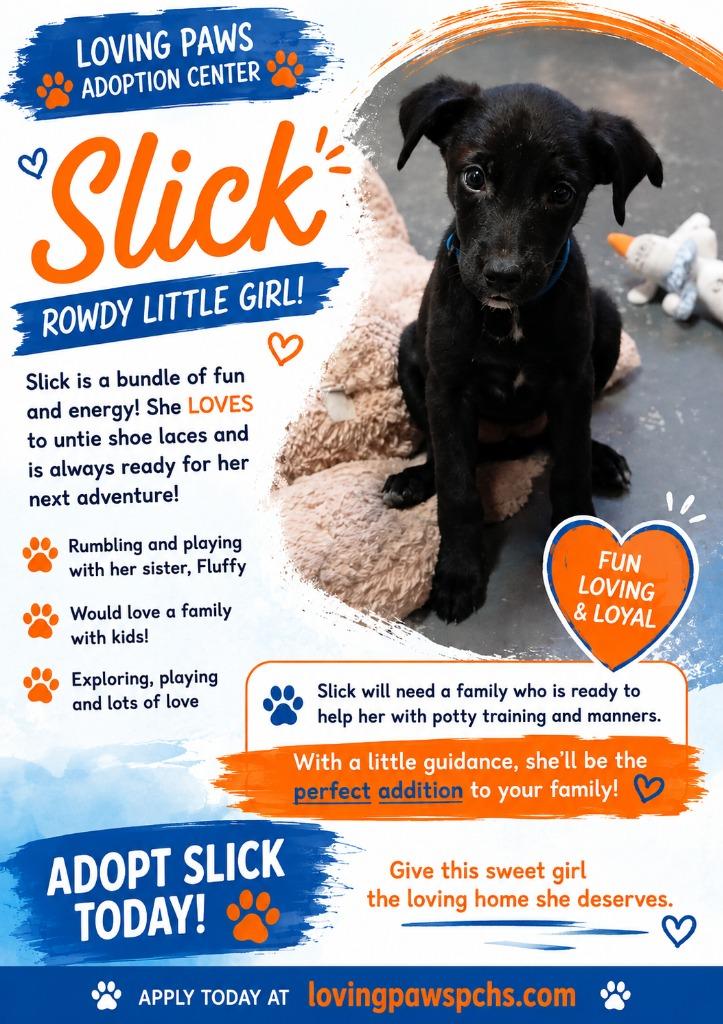 Slick, Adoptable, Puppy Female Mixed Breed.