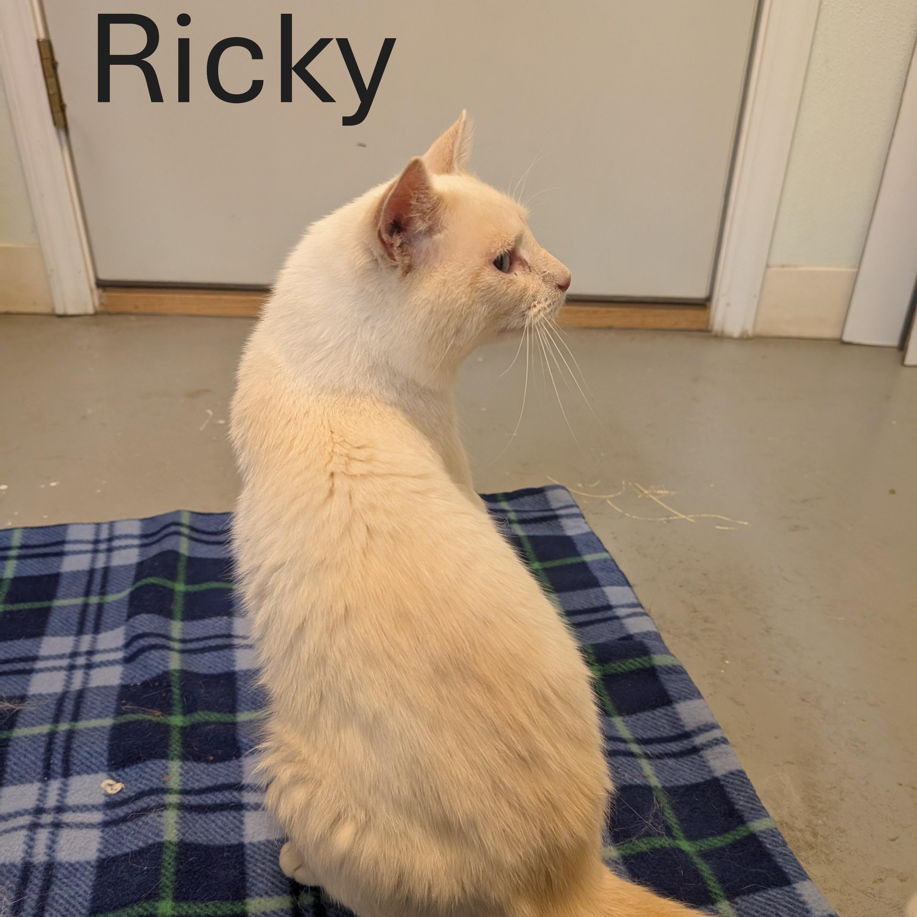 Ricky