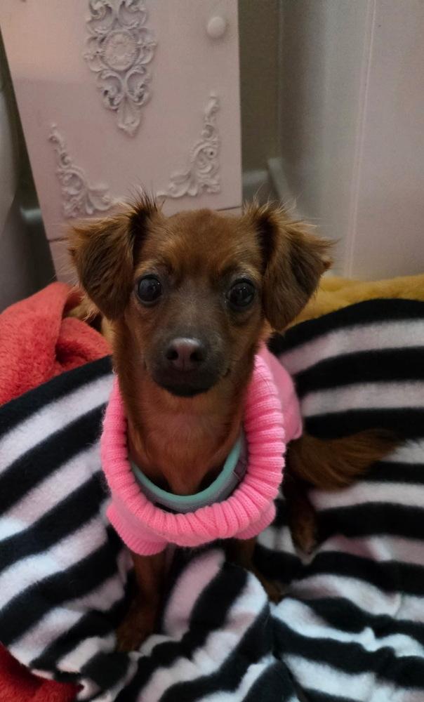 Lady Bug — thumbnail 5