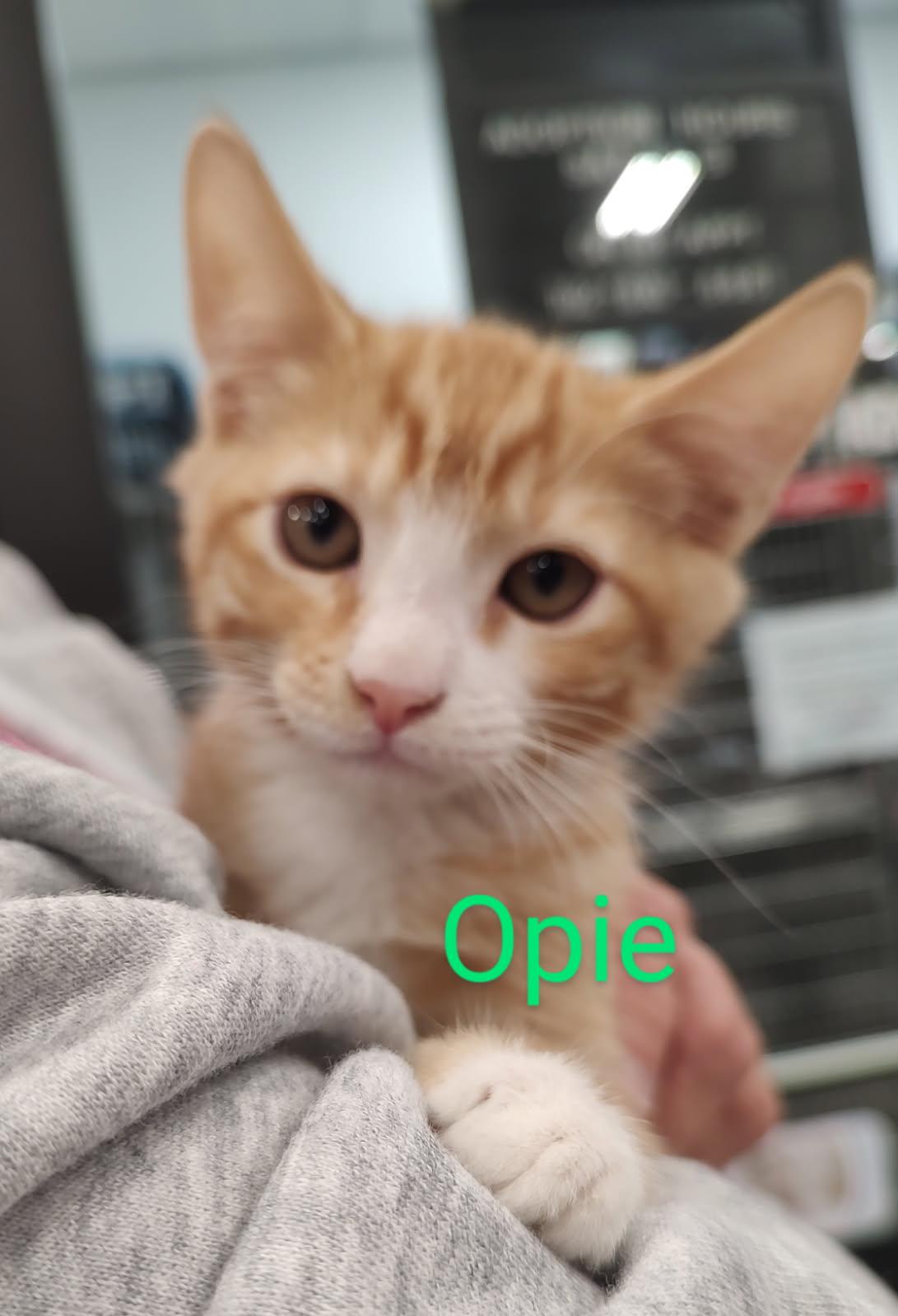 Opie