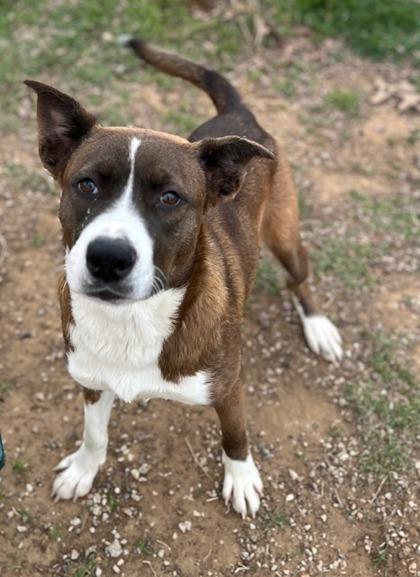 Kerrington — thumbnail 2