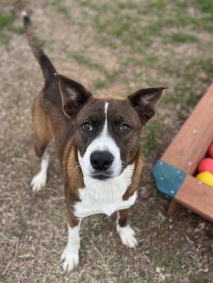 Kerrington — thumbnail 3