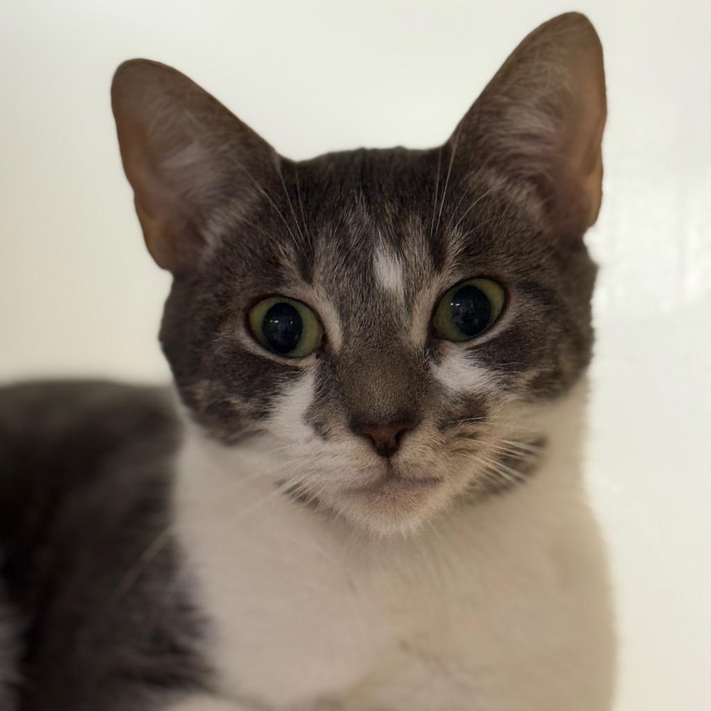 Romee — thumbnail 3