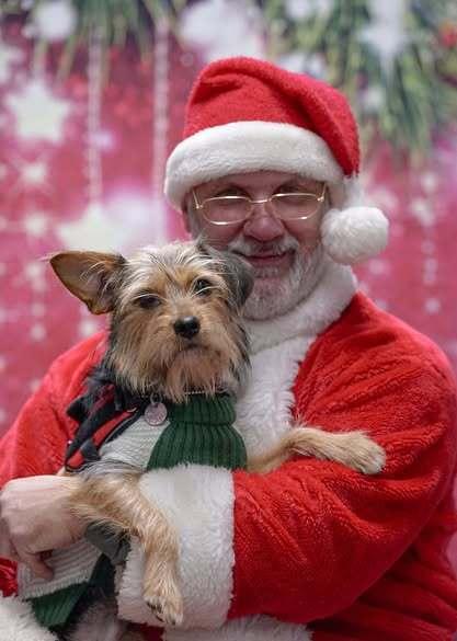 Enlarge AUTUM, a Adoptable mixed breed in Milton, GA image 4/6