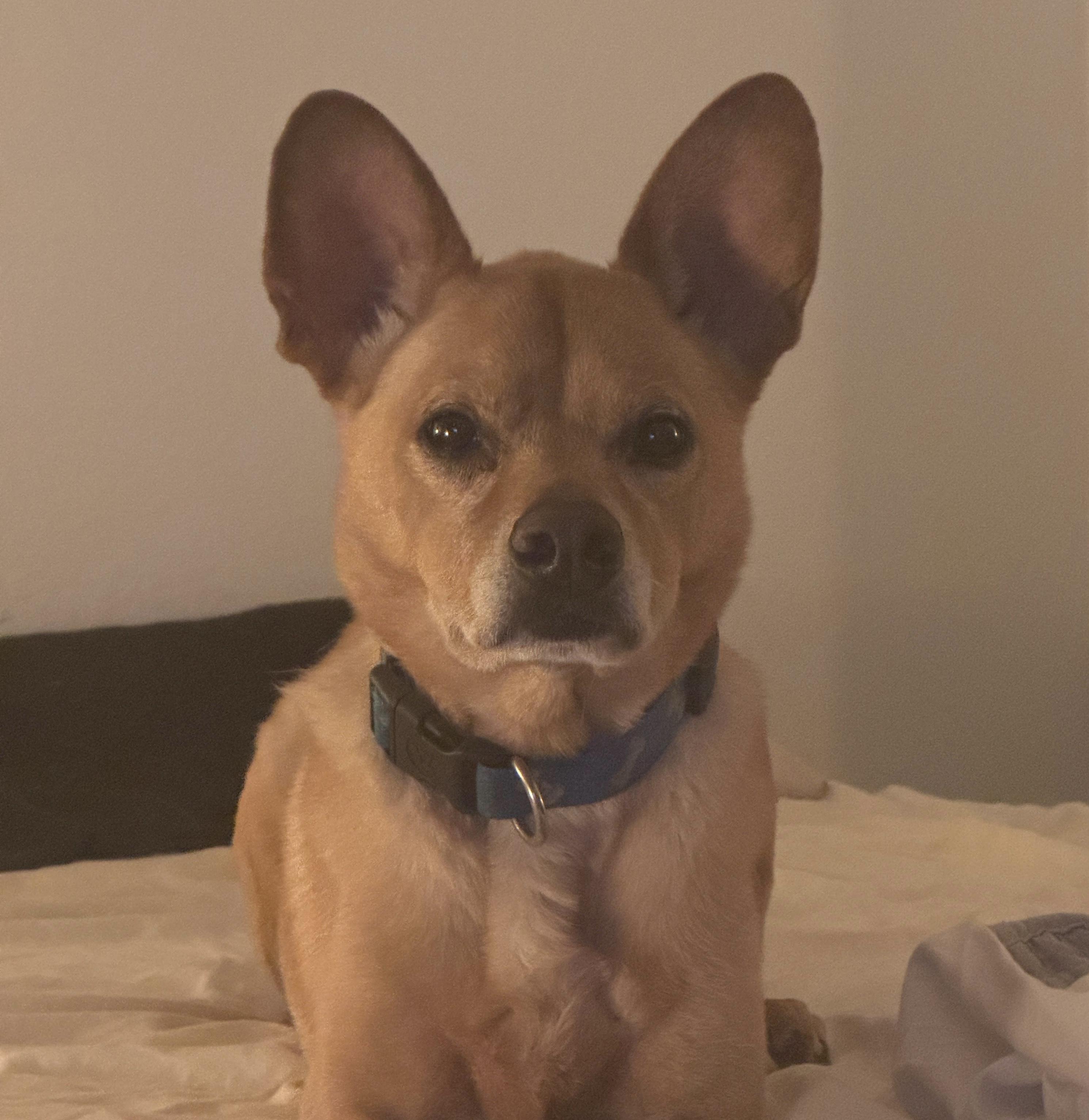 Major — thumbnail 2