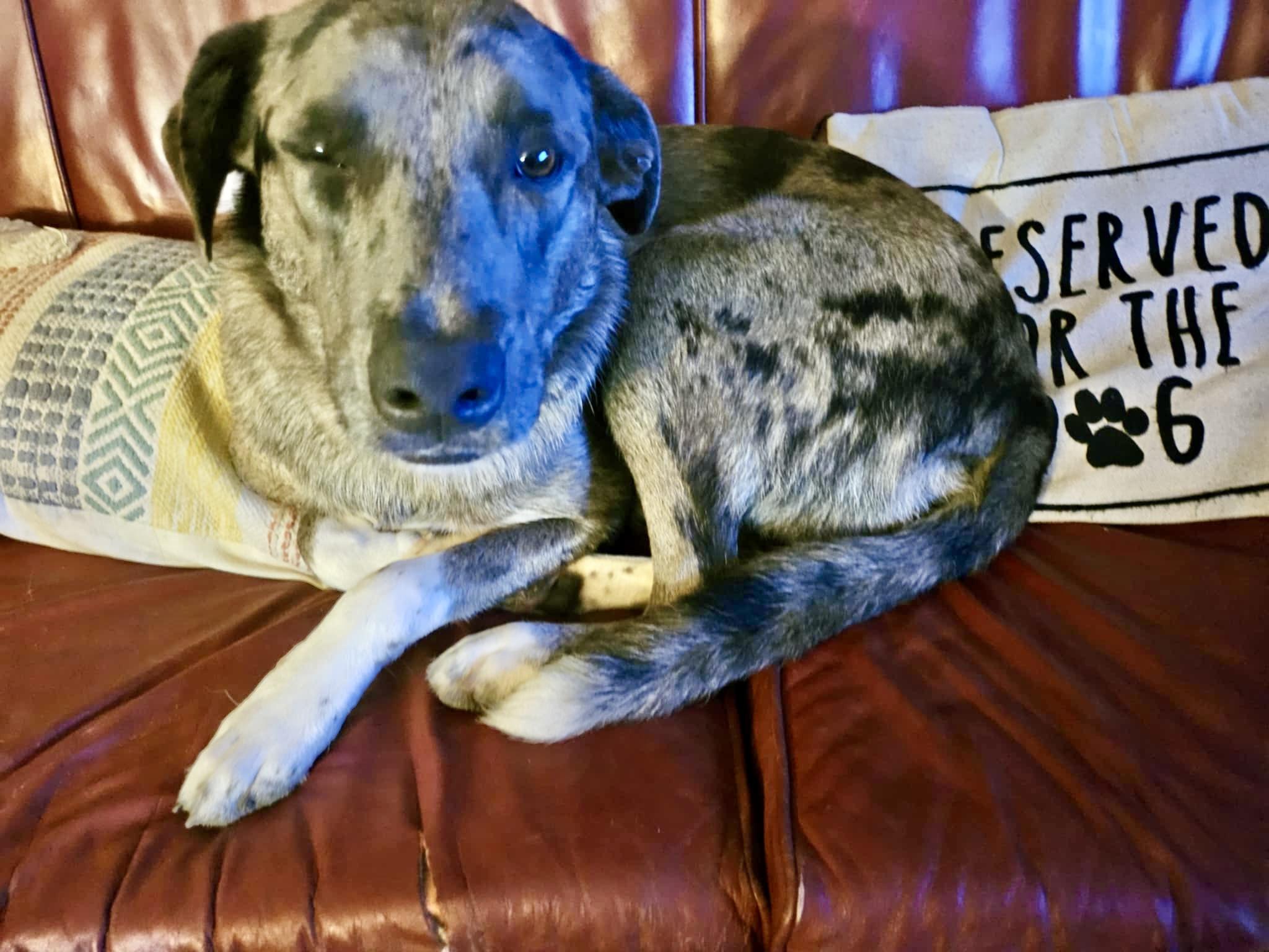 Cash — thumbnail 3