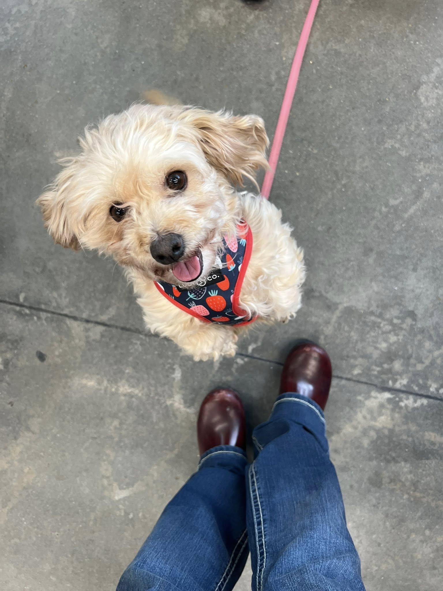 Morgan — thumbnail 3