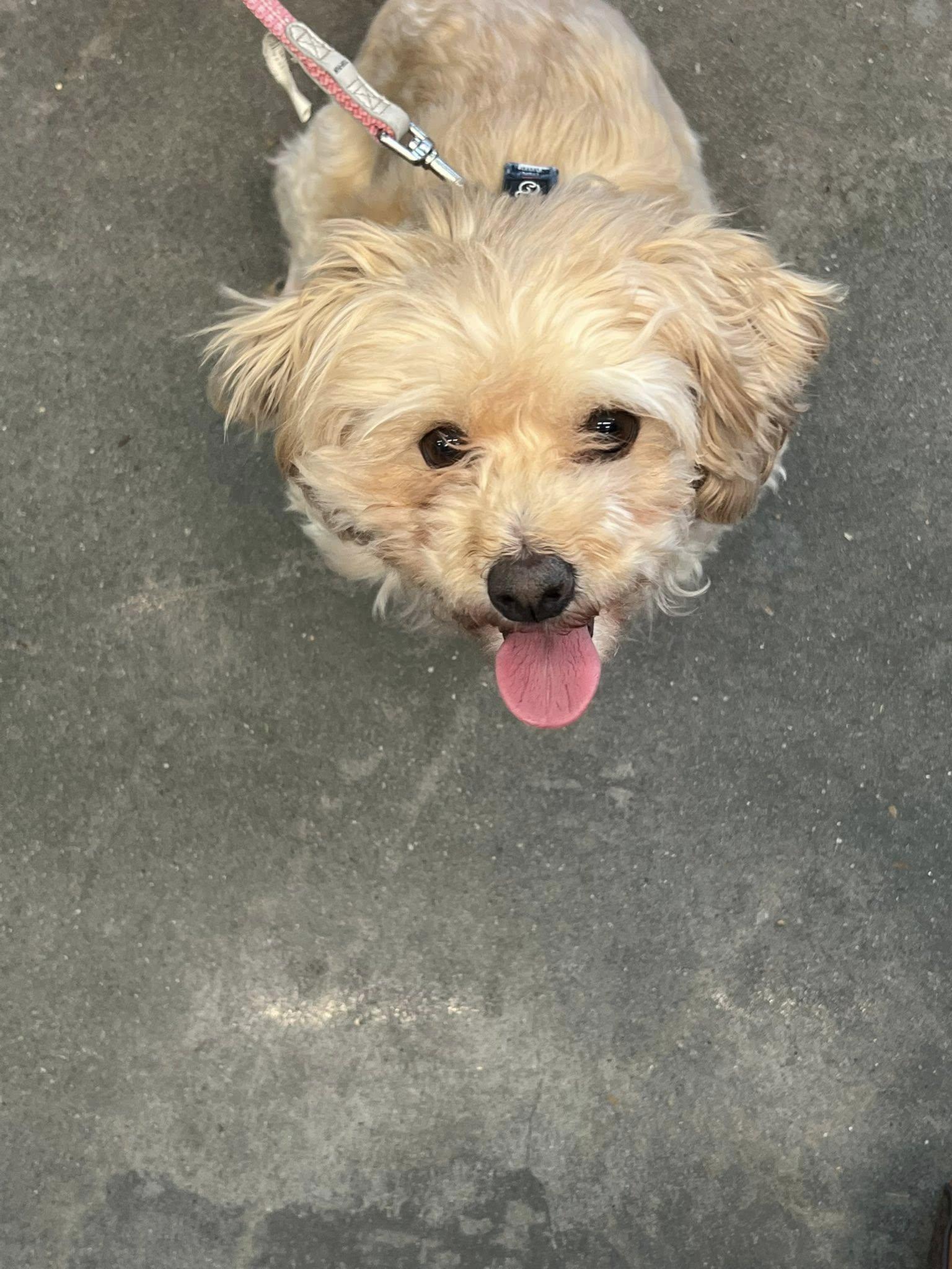 Morgan — thumbnail 6