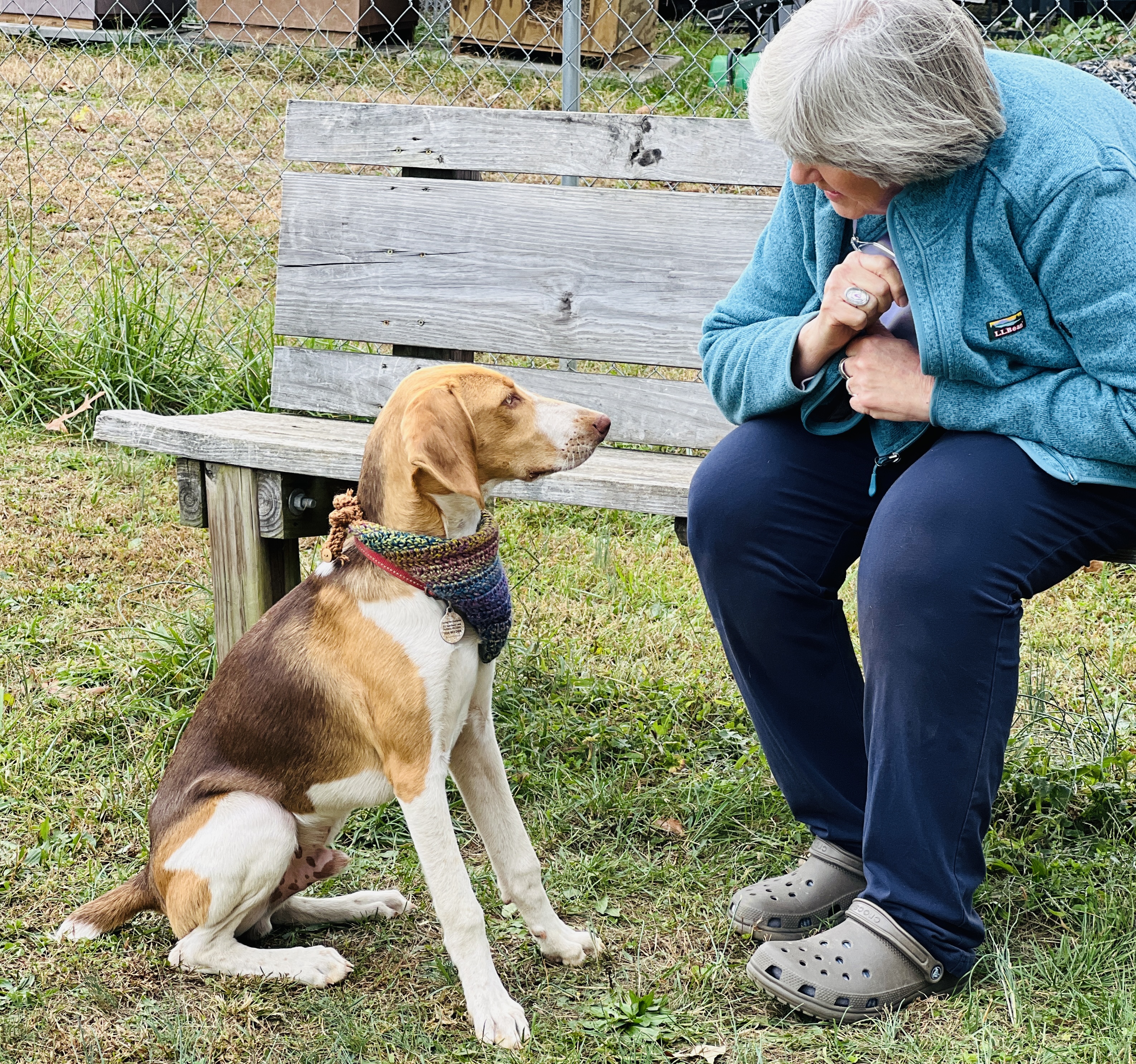 Atticus — thumbnail 6