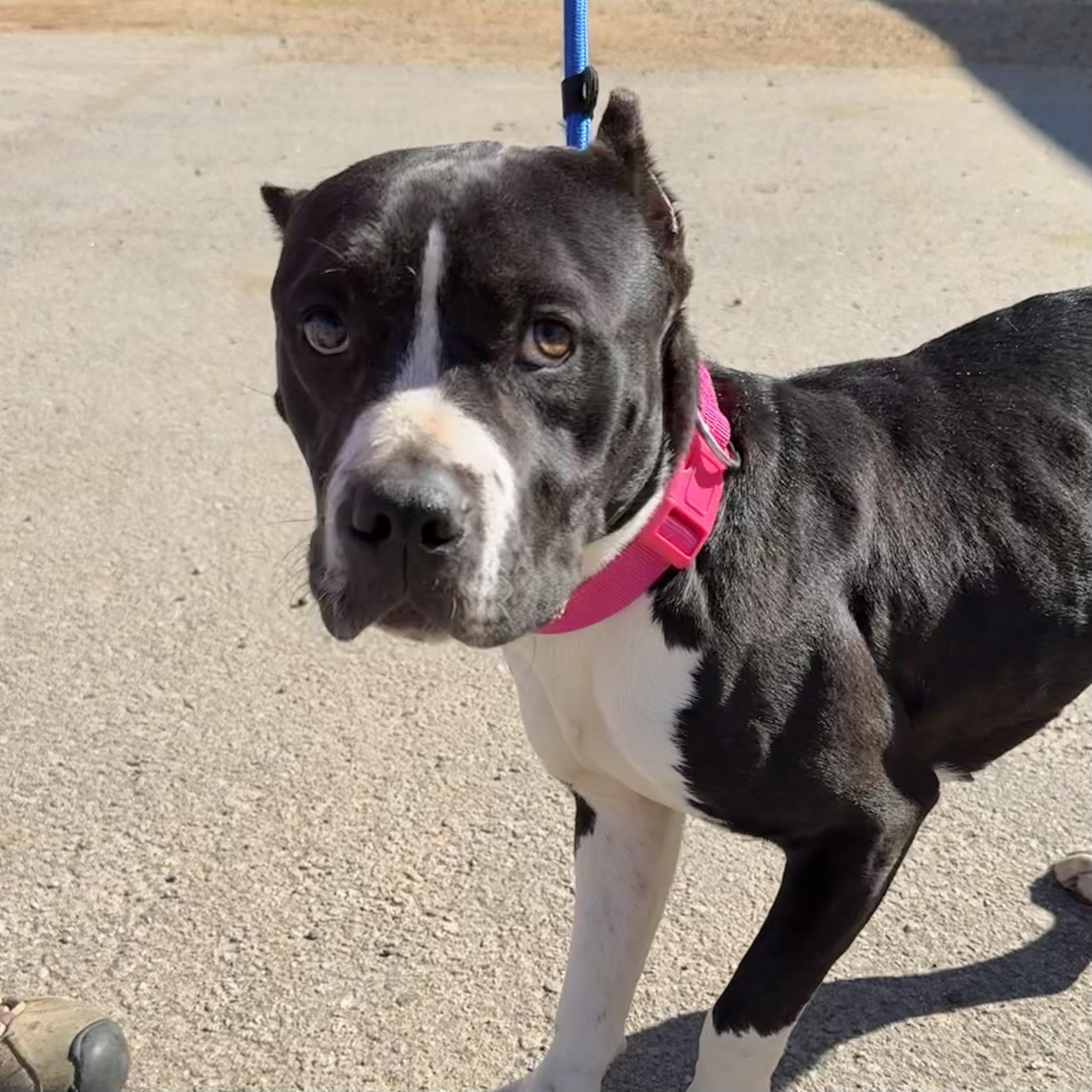 Summer — thumbnail 2