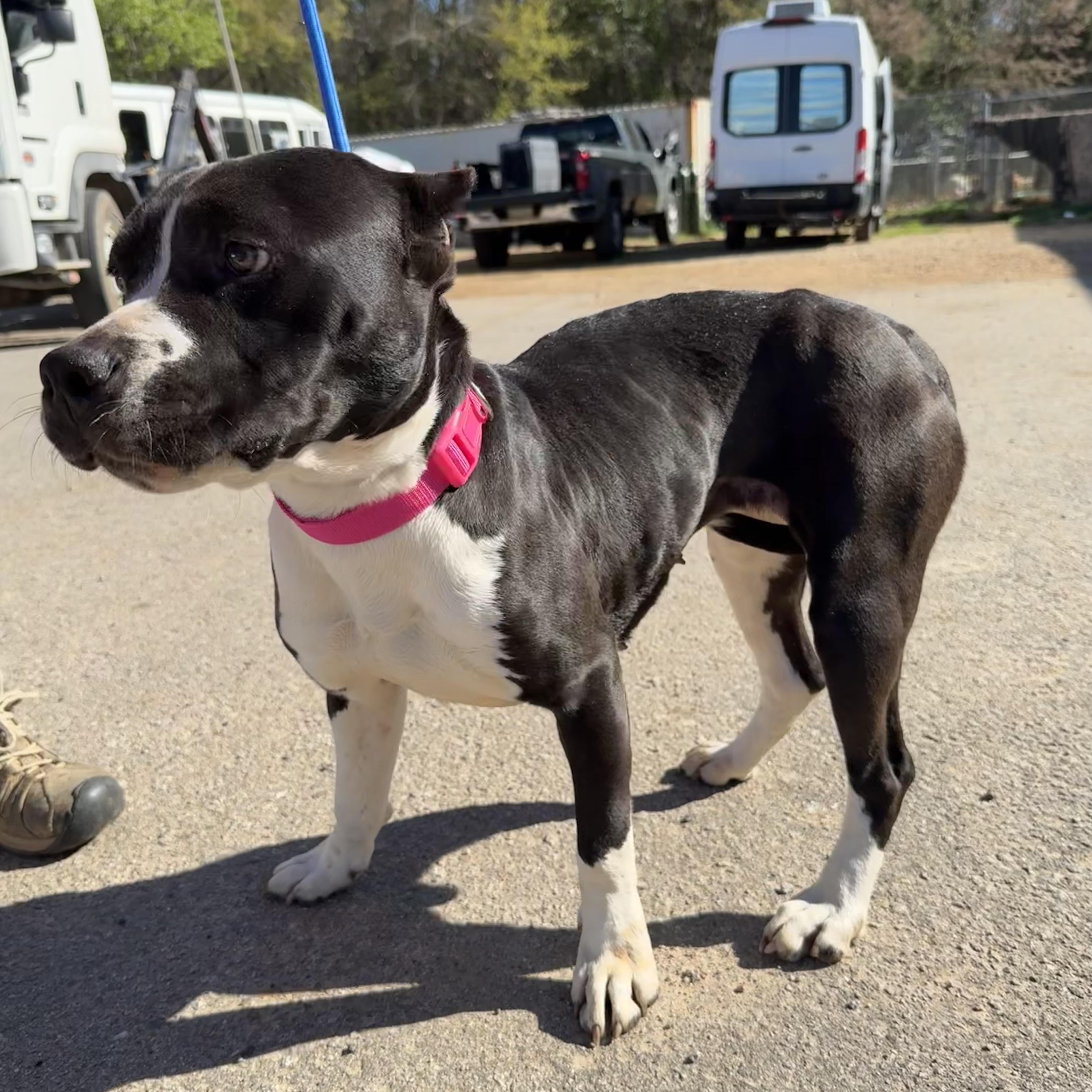 Summer — thumbnail 3