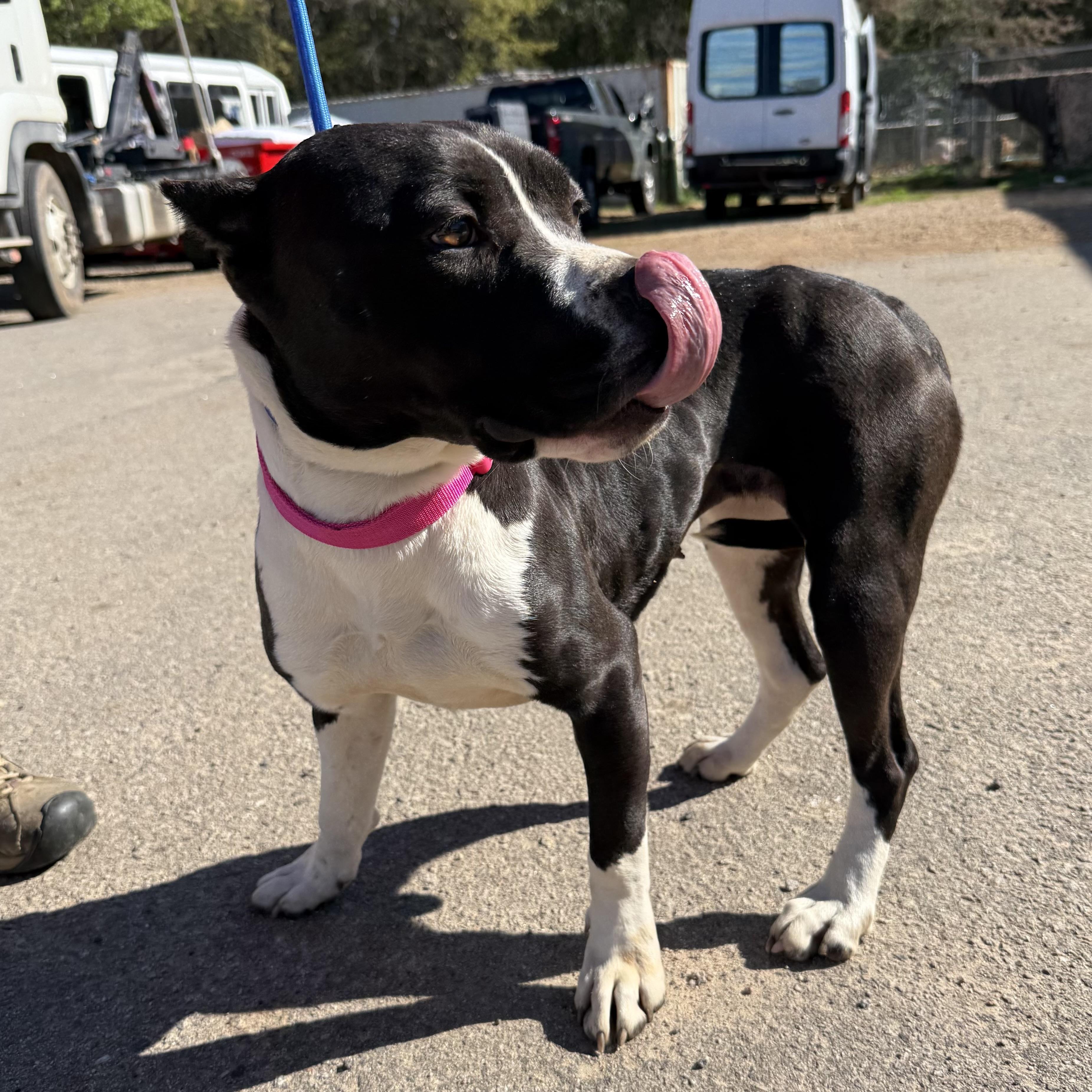 Summer — thumbnail 4