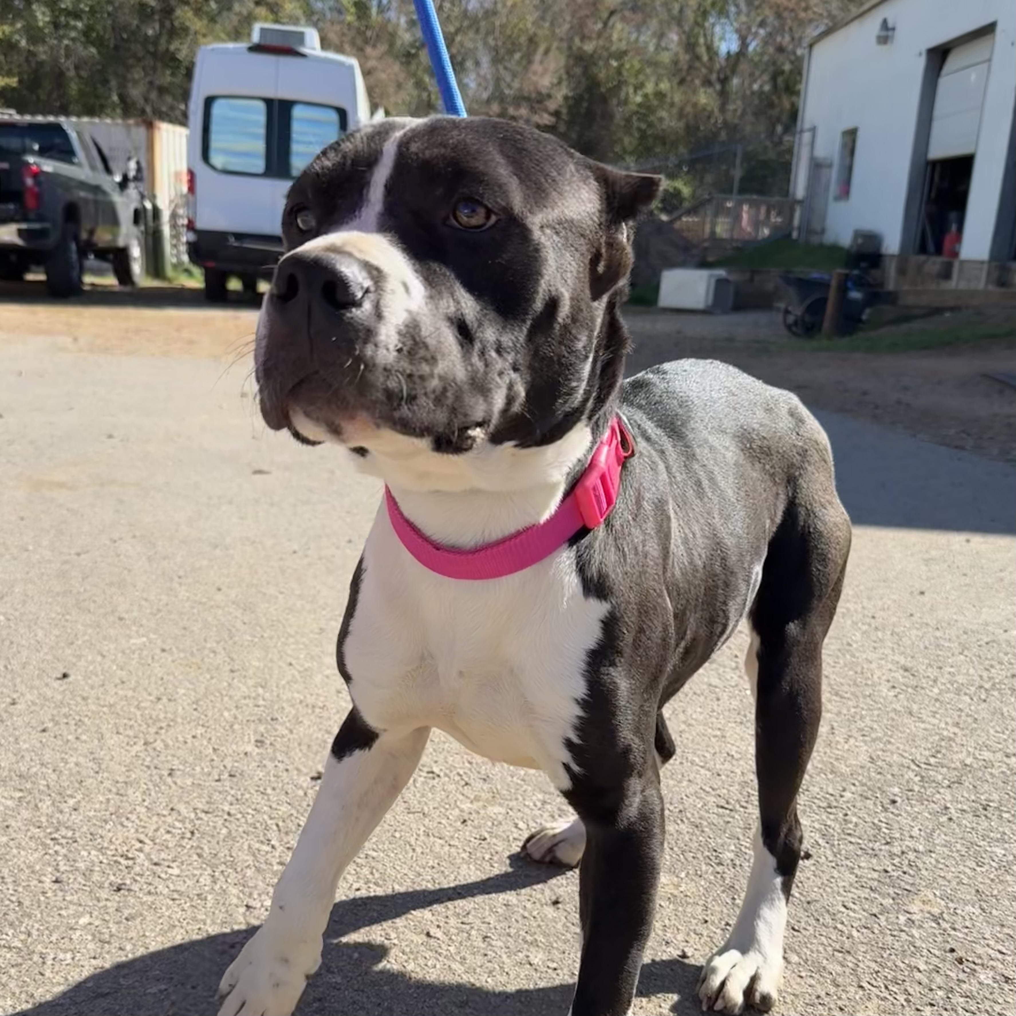 Summer — thumbnail 5