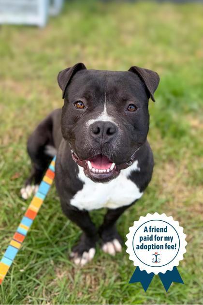 Elliot Page thumbnail 4