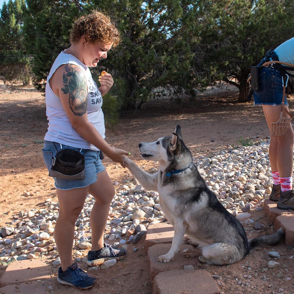 Nina — thumbnail 3