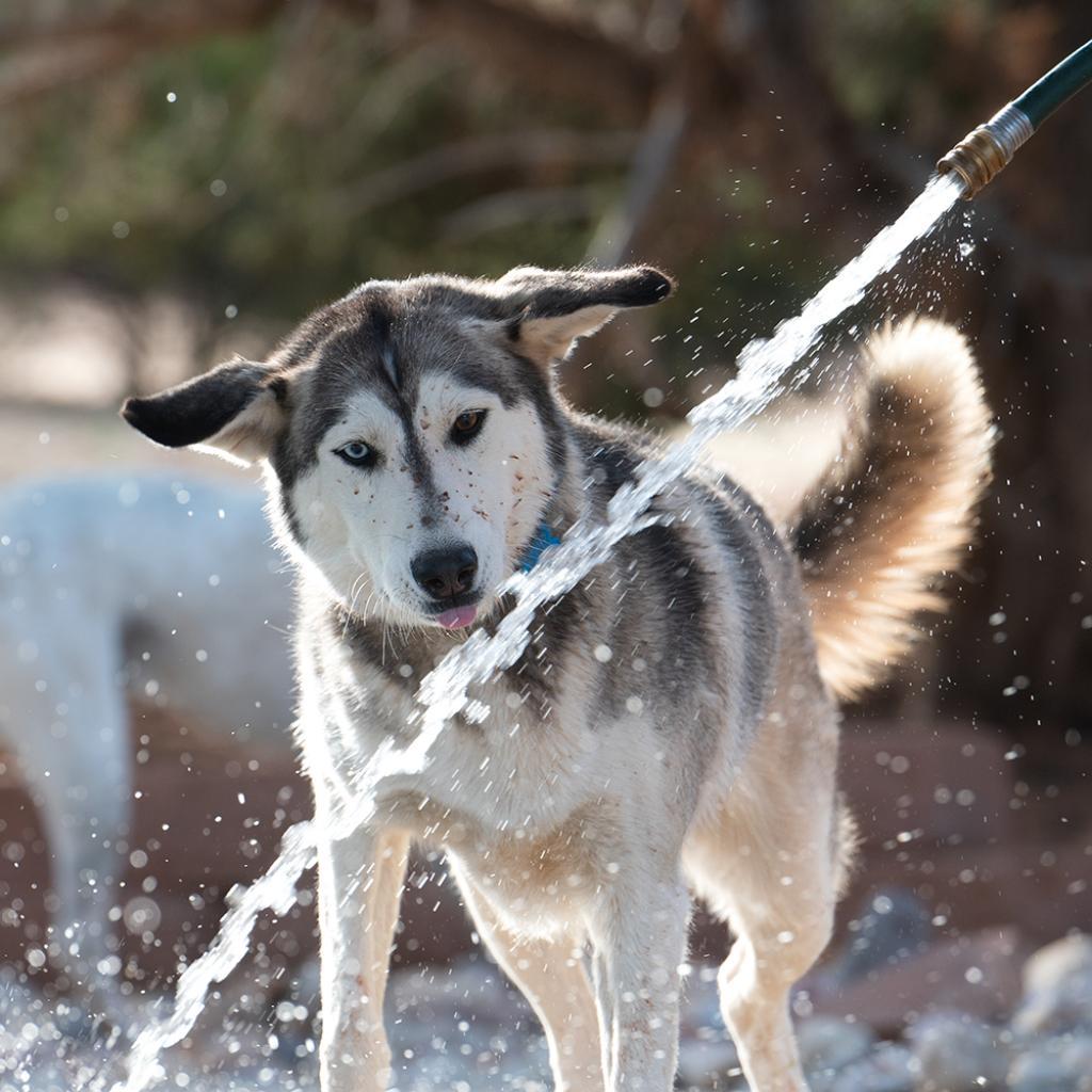 Nina — thumbnail 4