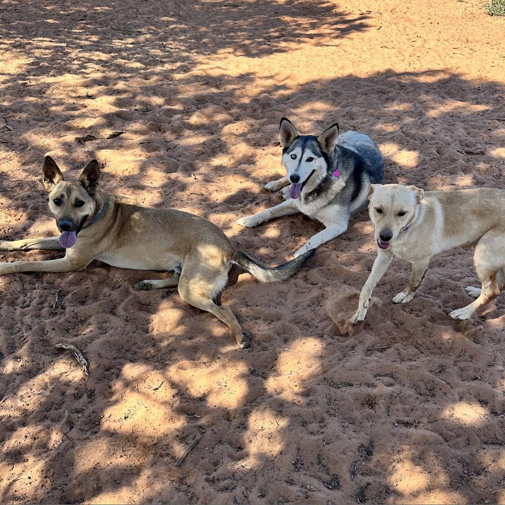 Nina — thumbnail 5