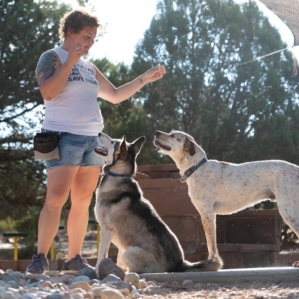 Nina — thumbnail 6